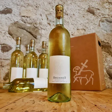 Rustico Corte Capitani 度假居 *